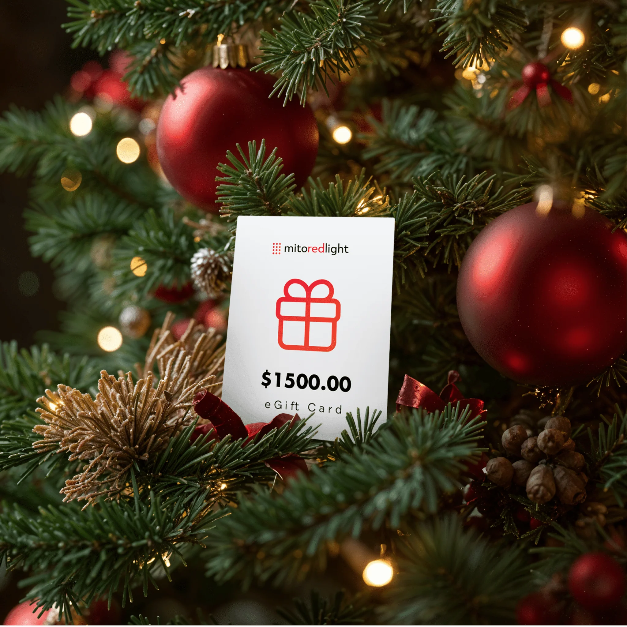 Mito Red Light eGift Card - Image 4